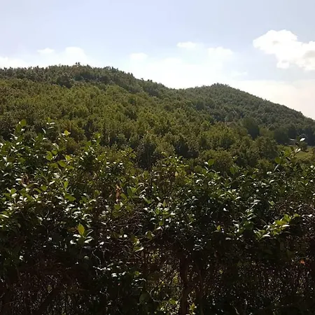 Il Rustico Toscano * Sorano (Grosseto)
